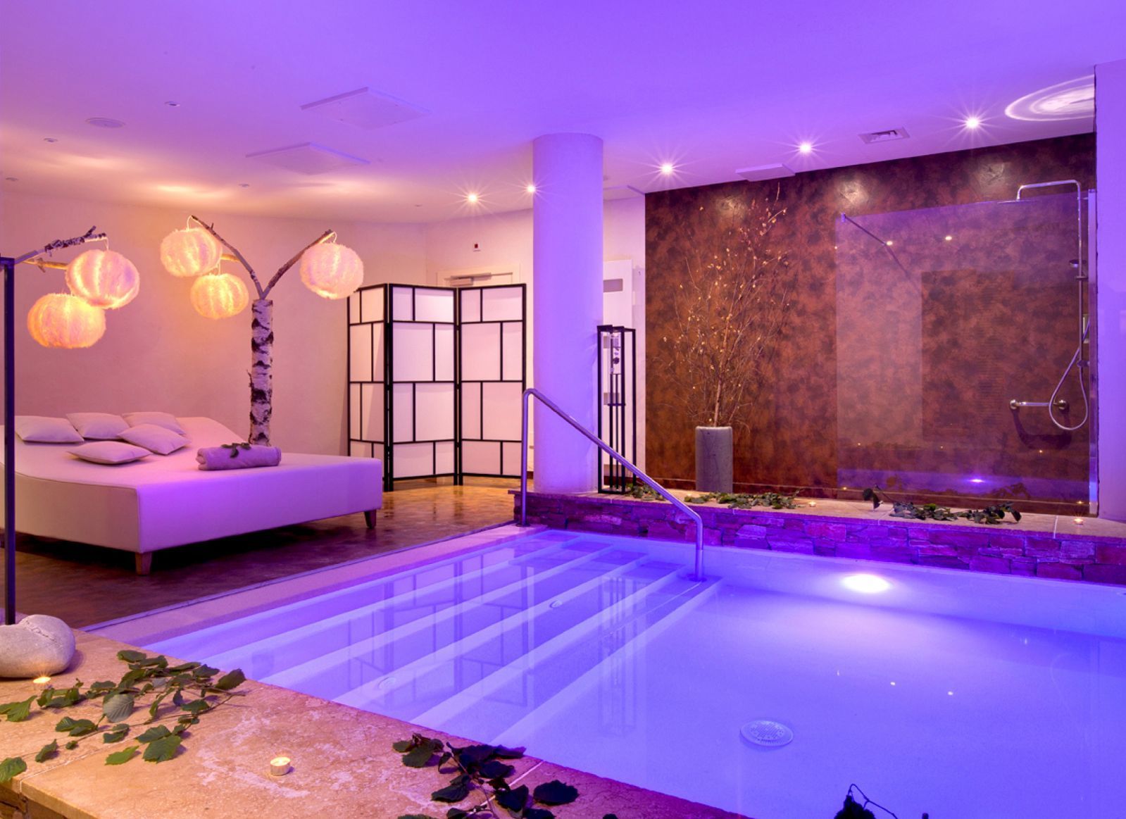 Hostellerie La Cheneaudiere & Spa - Alsace