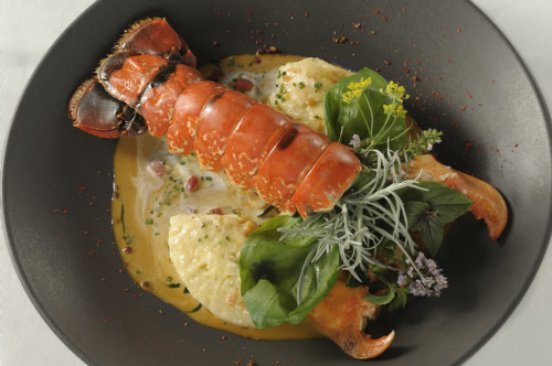 gal-restaurant-homard