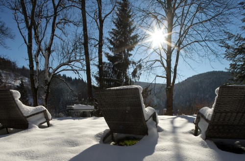 HIVER - CHENEAUDIERE © JEROME MONDIERE (107)